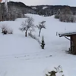 Alpinresort Derbacherhof 3* Niedernsill