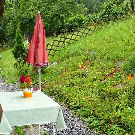 Resort Alpinresort Derbacherhof Niedernsill