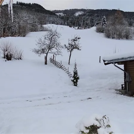 Alpinresort Derbacherhof 3* نيدرمسيل