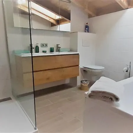 Alpinresort Derbacherhof אתר נופש