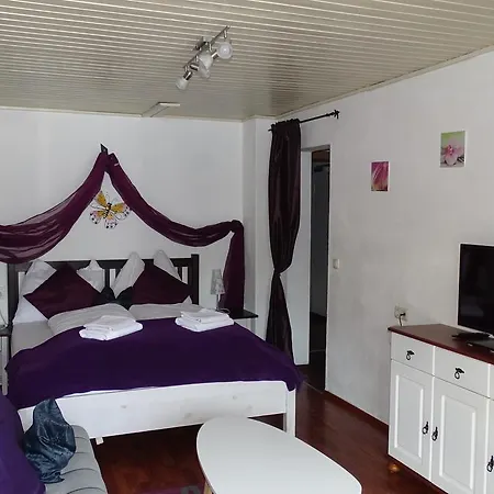 Alpinresort Derbacherhof Niedernsill