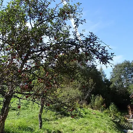 אתר נופש Alpinresort Derbacherhof נידרנסיל