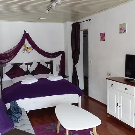 Alpinresort Derbacherhof אתר נופש נידרנסיל