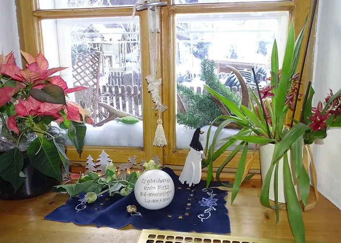 Alpinresort Derbacherhof منتجع 3*