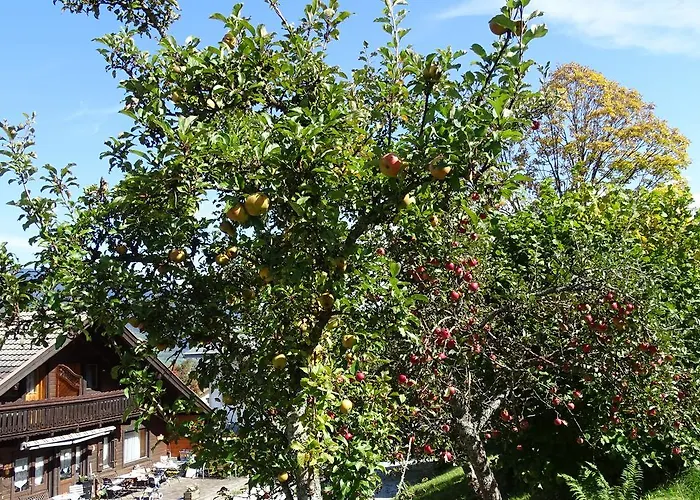 Alpinresort Derbacherhof Rezort Niedernsill